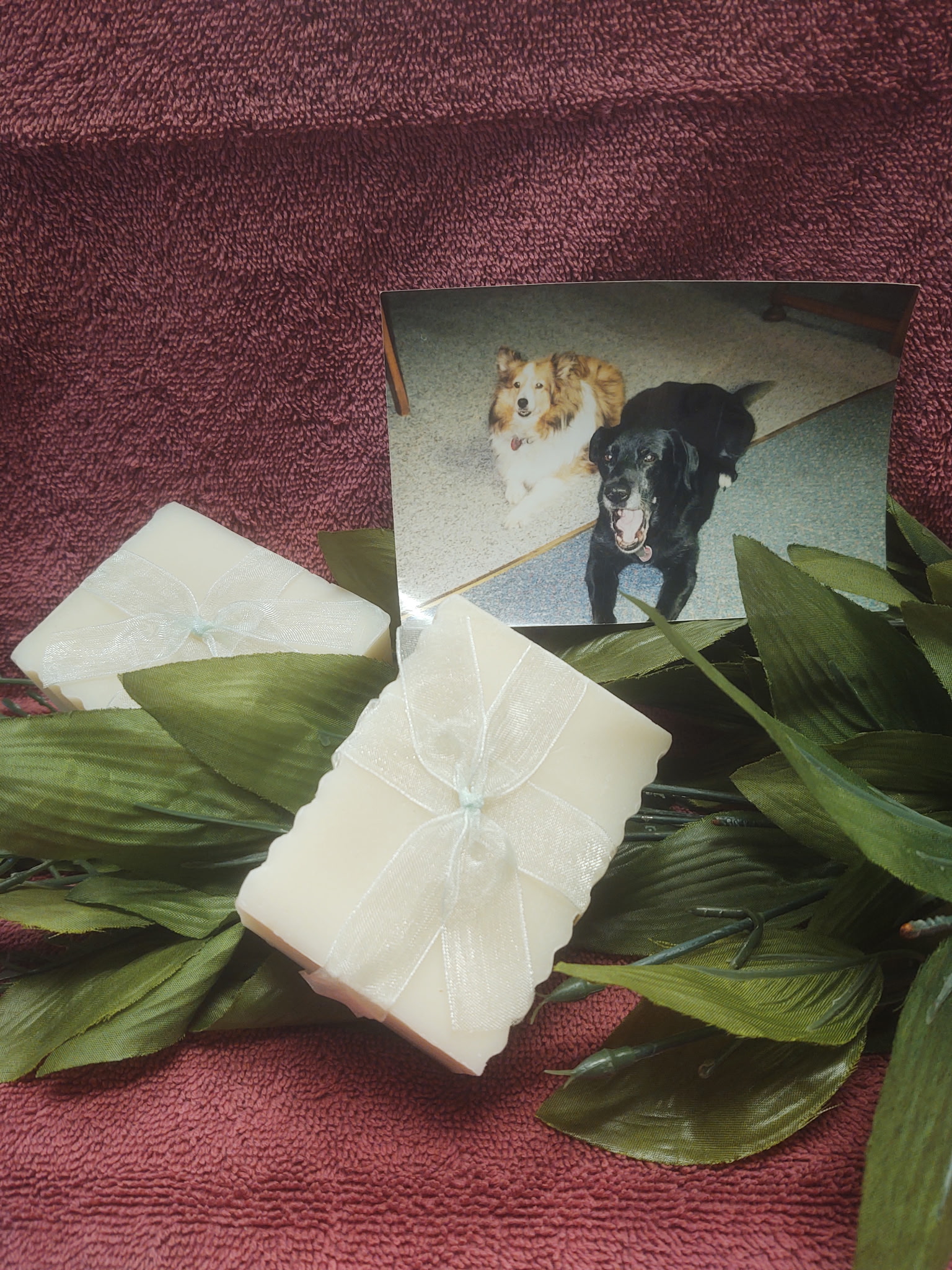 Handmade Dog Shampoo